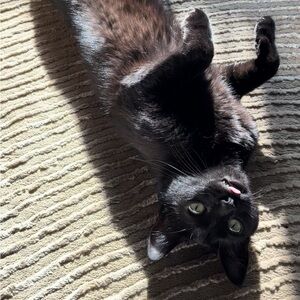 Meet your Posher, Carolyn